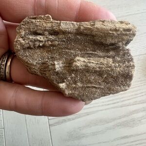 Natural Petrified Wood with Sparkling Texture